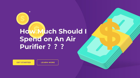 How to save and How Much Should I Spend on An Air Purifier.jpg