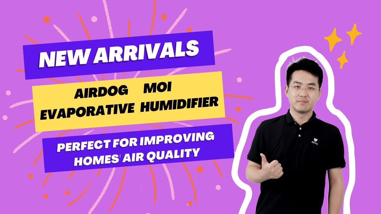 Airdog увлажнители MOI.mp4