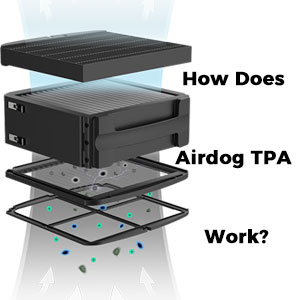 TPA-Work.jpg