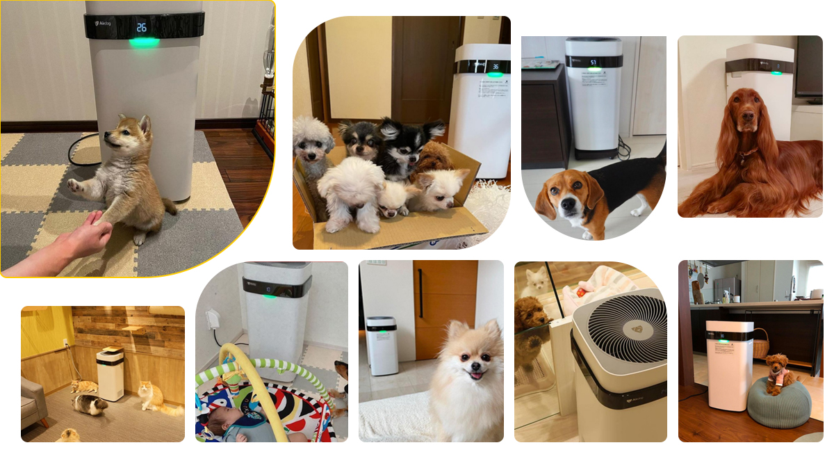 Airdog Очиститель воздуха X5 для собаки, кошки
